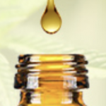 Best CBD Oil Review – Bioavailability and Why Does It Matter